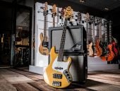 Basse - Histoire, techniques & conseils