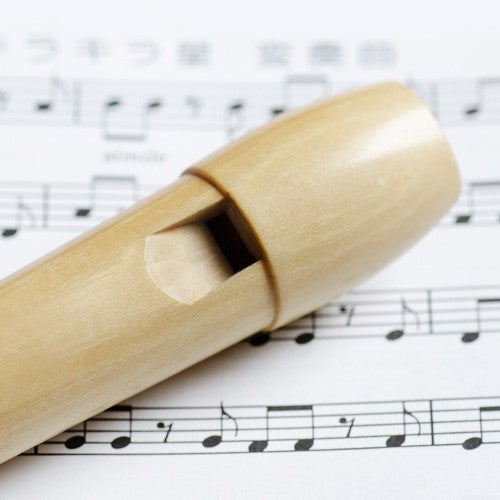 Les flûtes à becs sont-elles uniquement utilisées dans un but éducatif ? Les flûtes à becs sont-elles uniquement utilisées dans un but éducatif ?