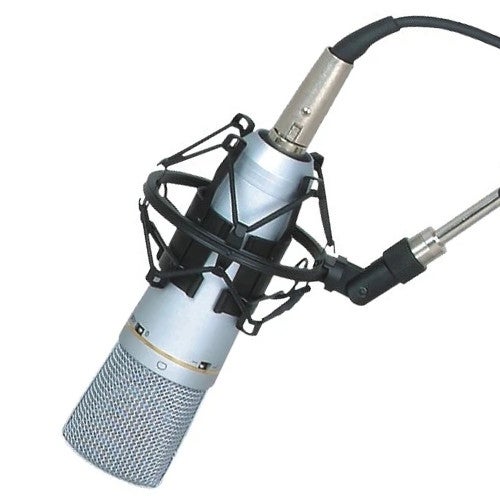 Existe-t-il des alternatives au micro canon ?