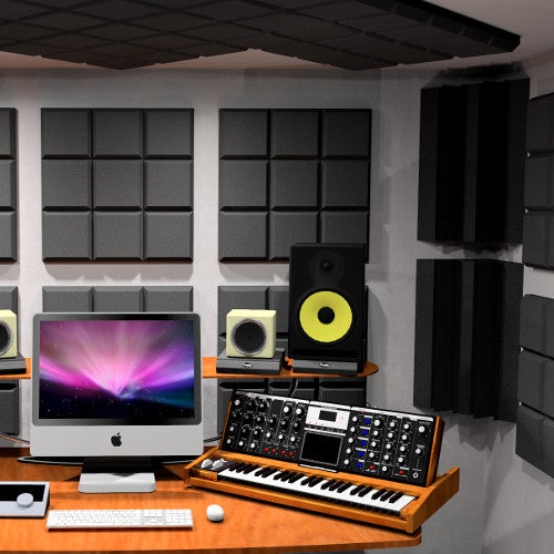 Hoeveel panelen heb ik nodig? En waar moet ik ze plaatsen?